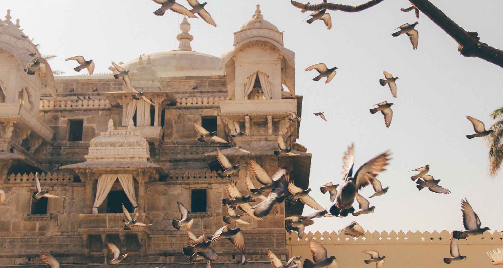 Golden Triangle Tour With Udaipur & Jodhpur
