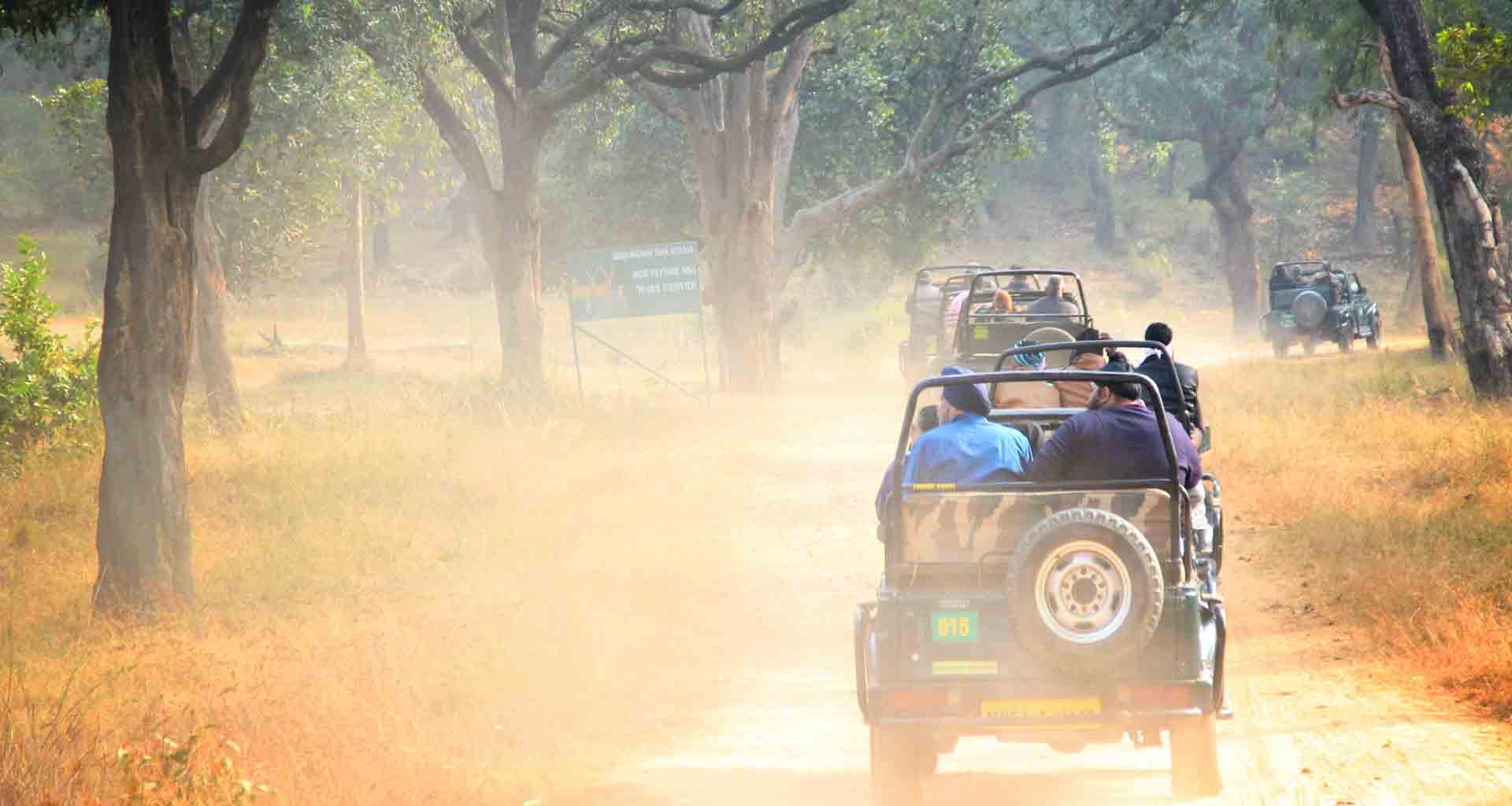 Bandhavgarh National Park Tour